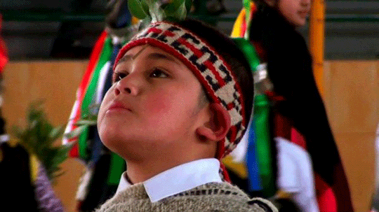 Mapuche boy