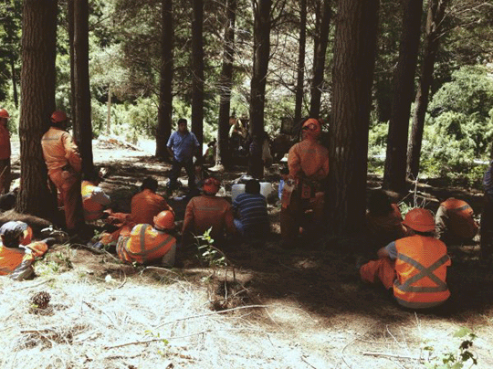 meeting in forest