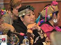 Representantes mapuche en una conferencia en el Parlamento Europeo