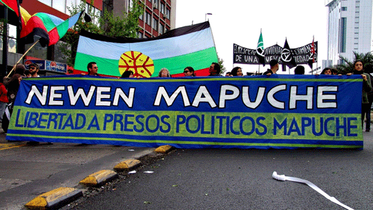 Protestors with a banner calling for the release of Mapuche political prisoners
