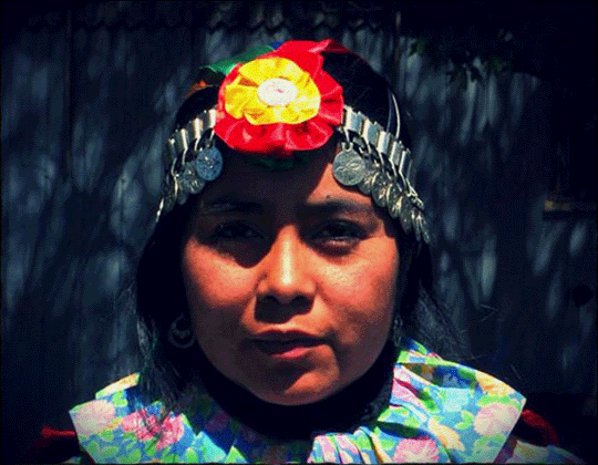 Indigenous Of Chile: Why Discrimination Against Mapuches Still Runs So Deep