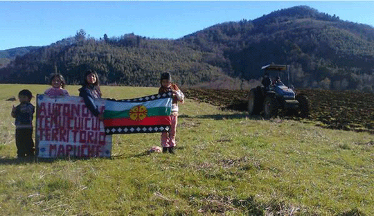 A group of Mapuches in a field in Temucuicui