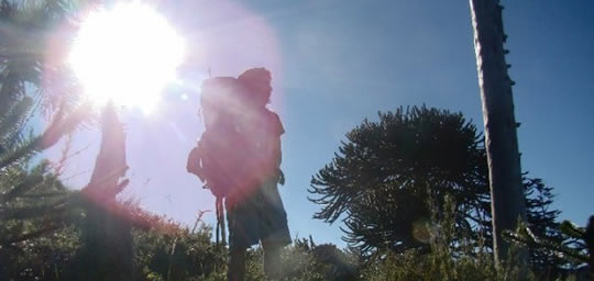 Mapuche man